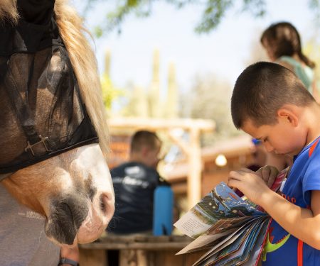 Thunderbolt families learn about equine therapy