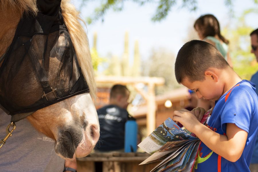 Thunderbolt families learn about equine therapy