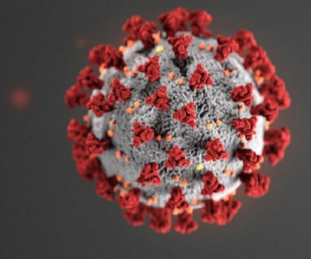 CDC coronavirus