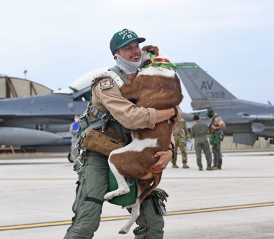 Dog reunion