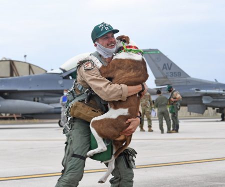 Dog reunion