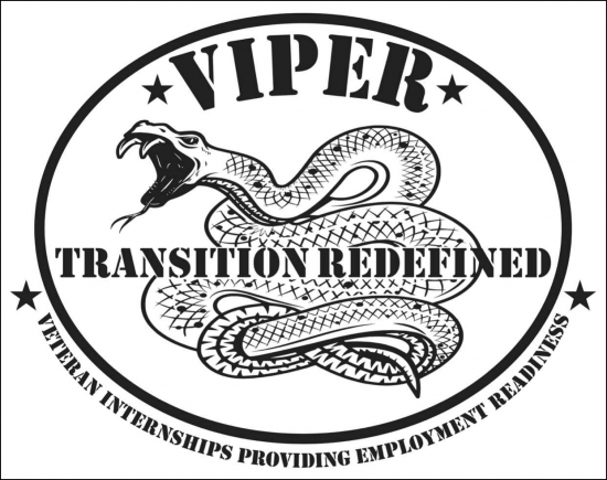 VIPER logo