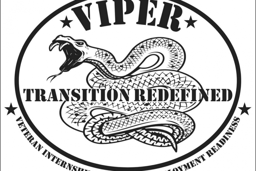 VIPER logo