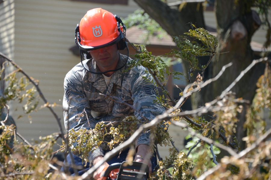 CE clears branches