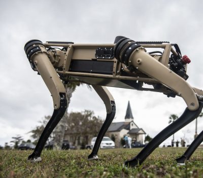 Computerized Canines to join Team Tyndall