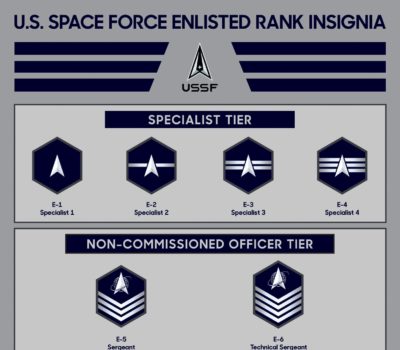 space force insignia
