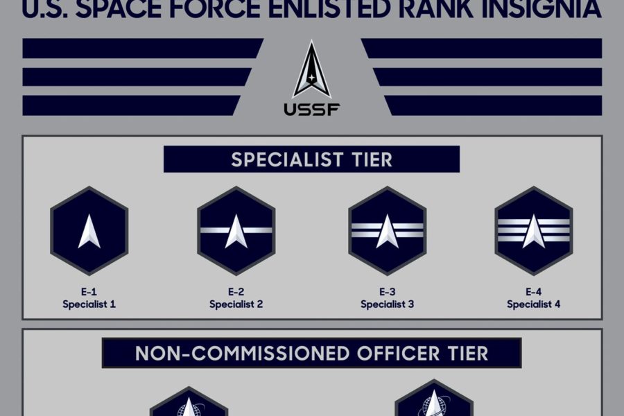 space force insignia