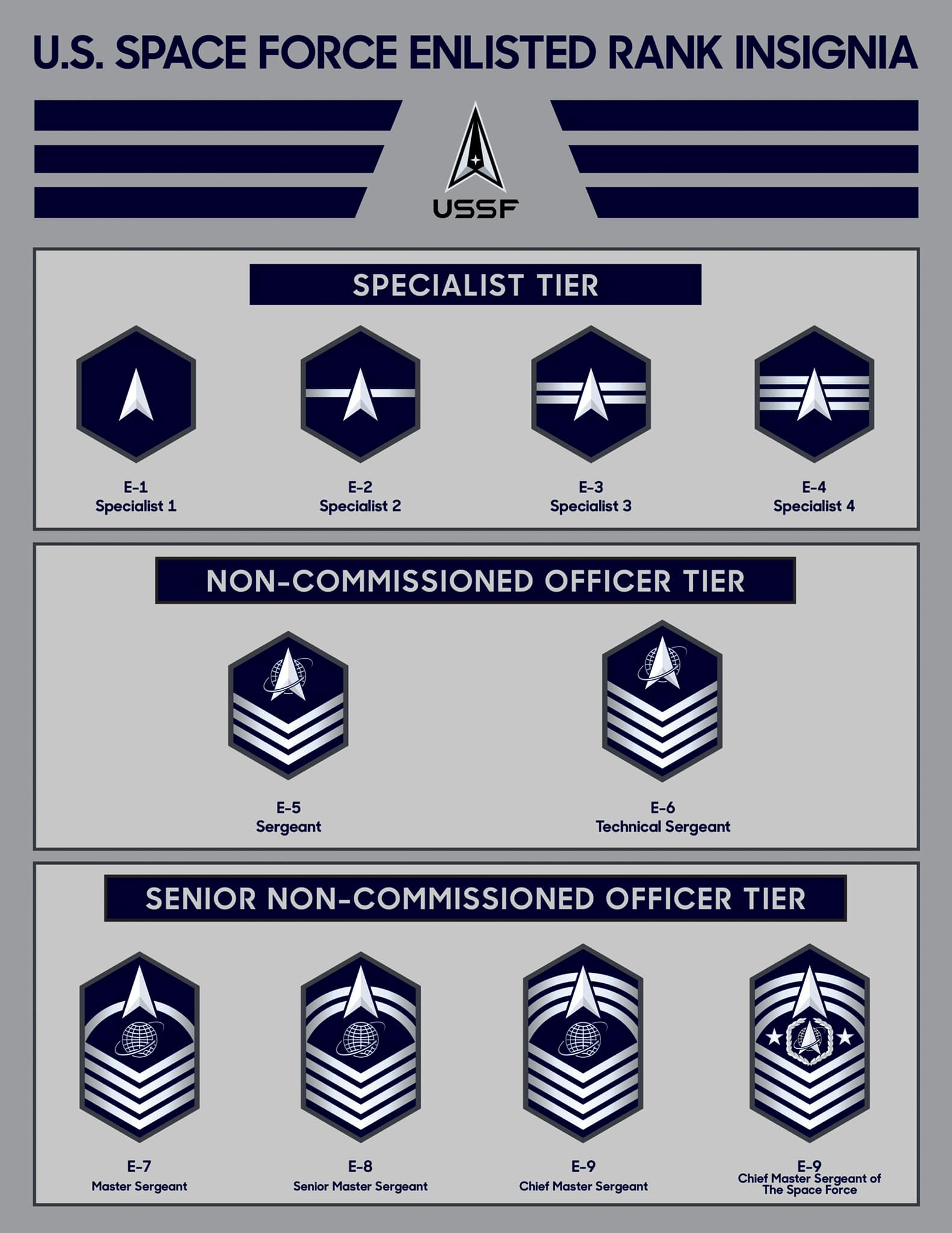 Space Force Reveals Insignia for Enlisted Ranks Air & Space Forces