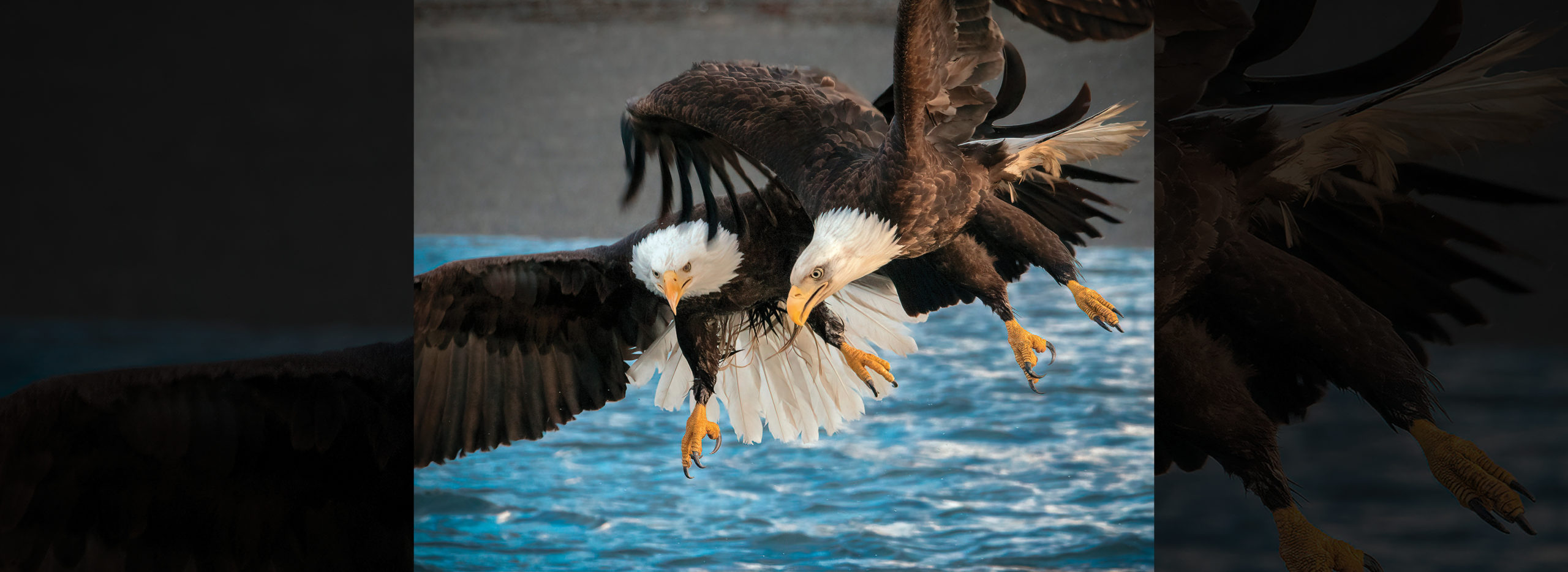 Air Force & Space Force Almanac 2022 Air & Space Forces Magazine