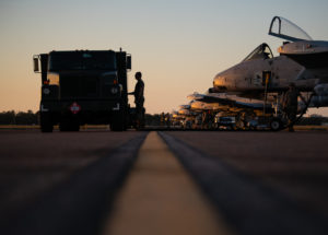 blacksnakes 122nd fighter wing a-10