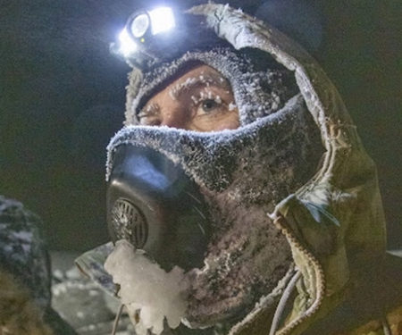 arctic survival