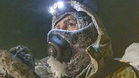 arctic survival