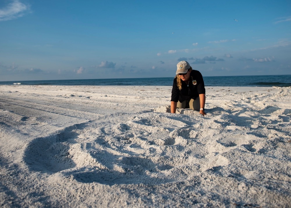 How to Protect Your Air Base From Hurricanes, Part 1: Let Nature Help