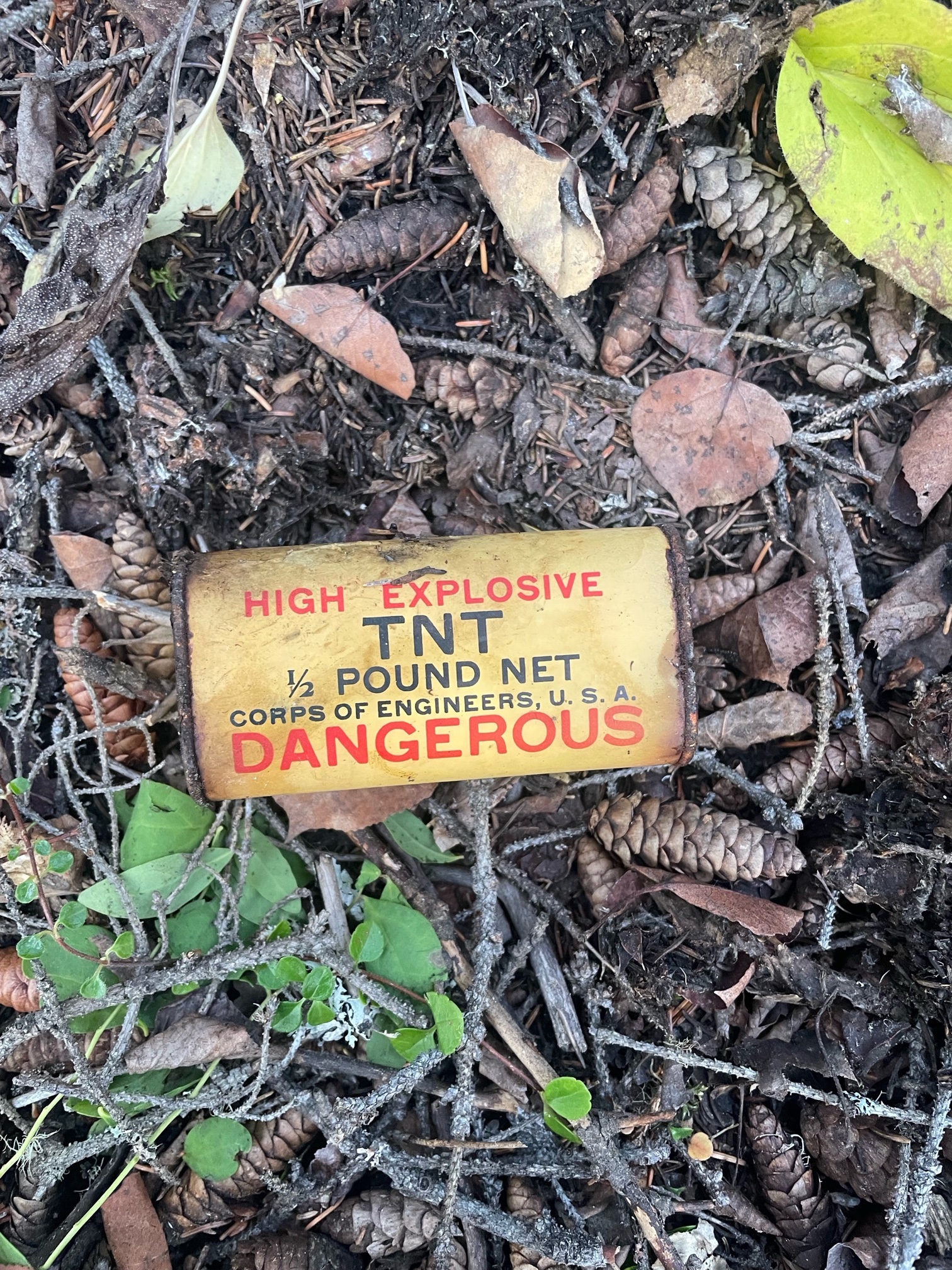 EOD Airmen Blow Up TNT Stash Found in Alaska