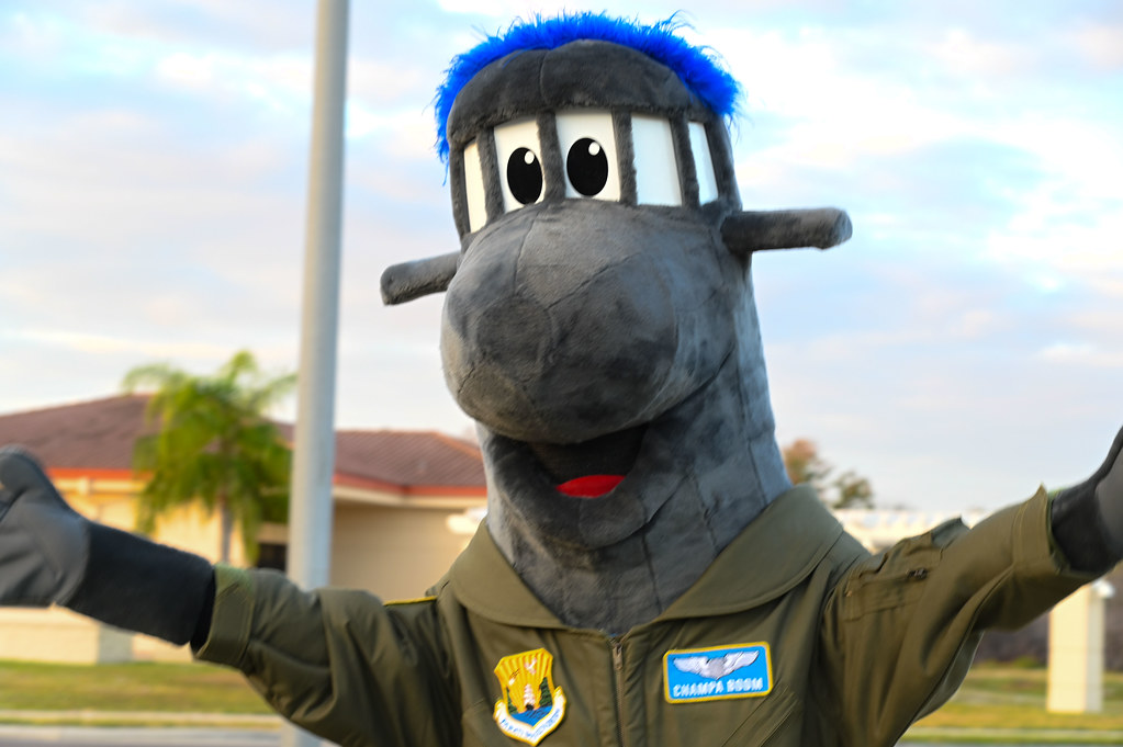 www.airandspaceforces.com