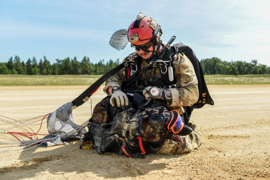 One-and-Only Air Force PJ Dog Prepares to Wrap Historic Career