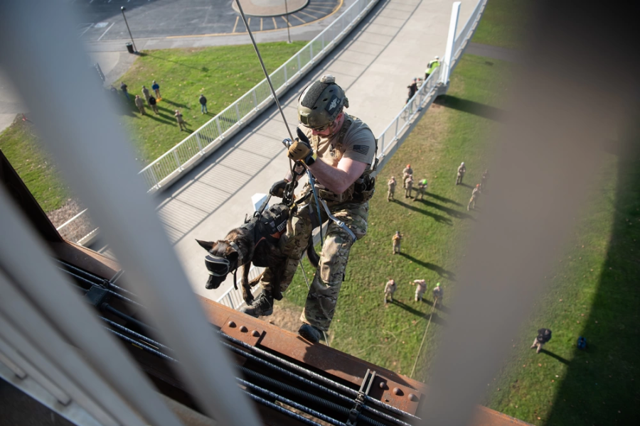 One-and-Only Air Force PJ Dog Prepares to Wrap Historic Career