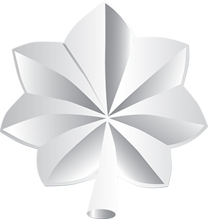 Lieutenant Colonel