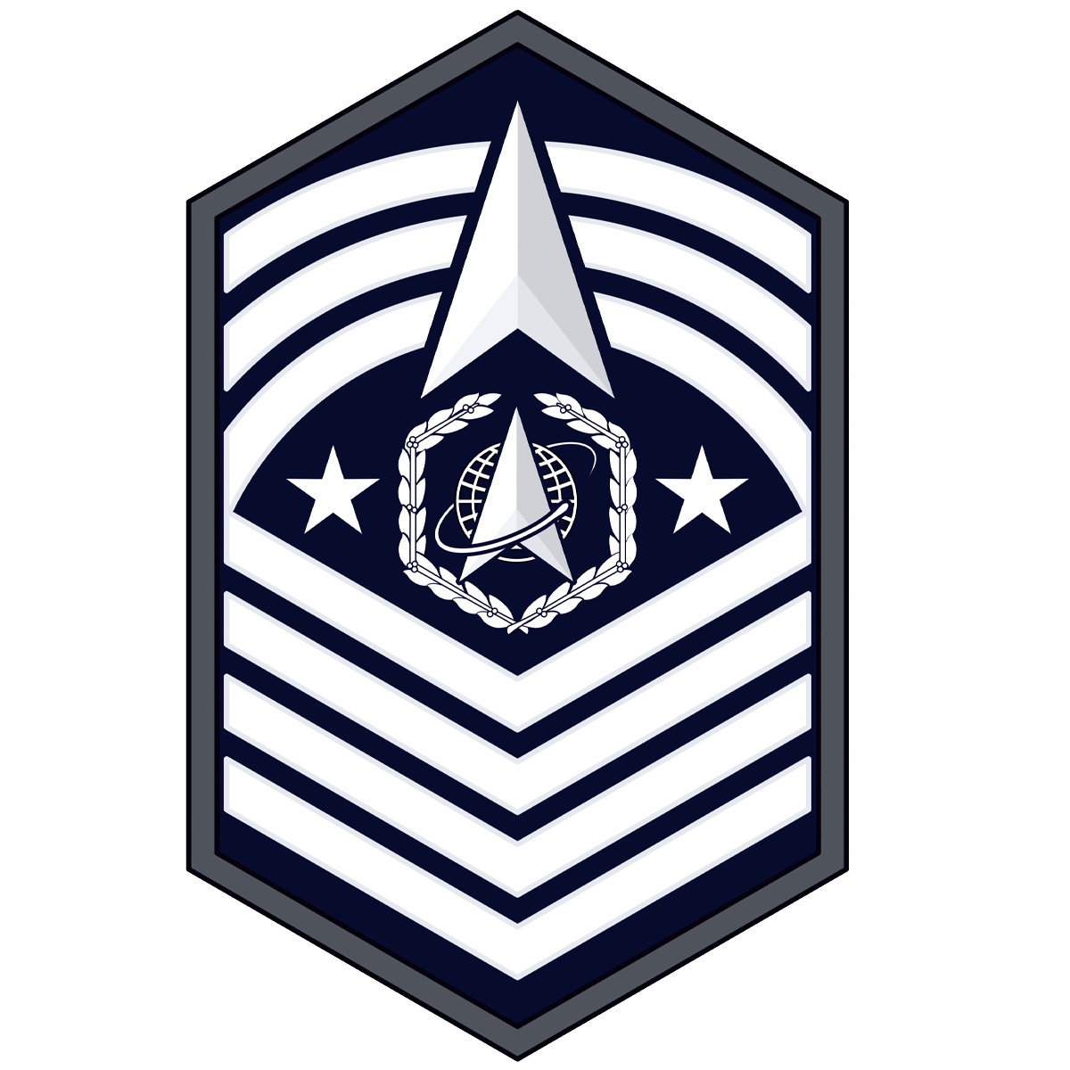 Chief Master Sgt of the Space Force