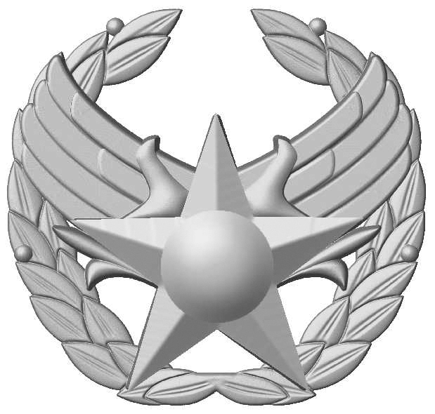 USAF Commander's Insignia badge